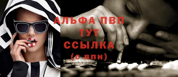 spice Арсеньев