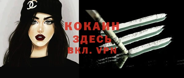 spice Арсеньев