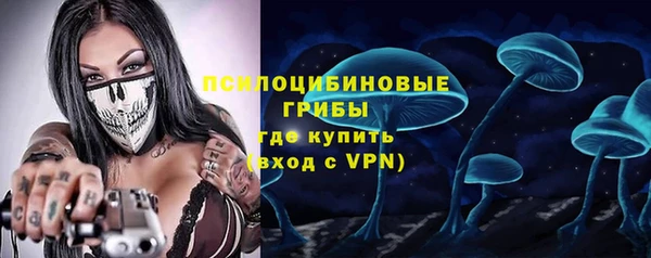 гидра Аркадак